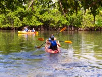 Rennert Miami Summer Plus Activities 20 RHRHe